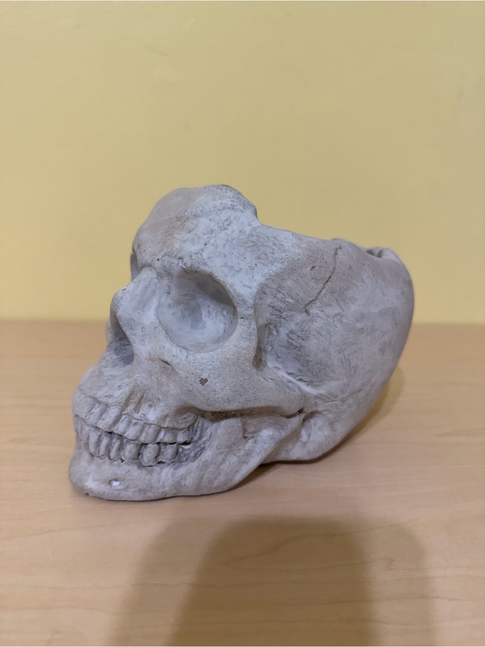 DW Home Stone-Effect Skull Sculpture candle very heavy material Halloween